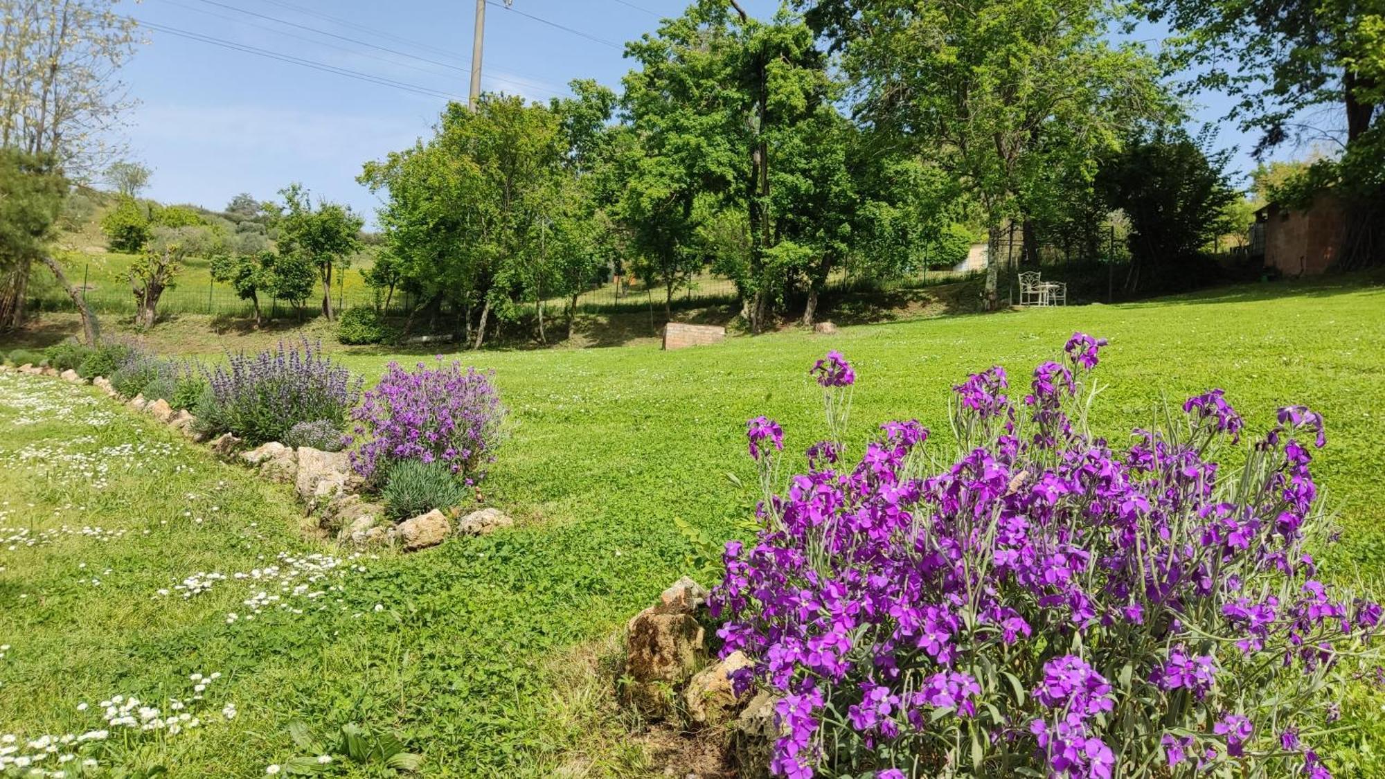 Agriturismo Le Grondaie Siena Esterno foto